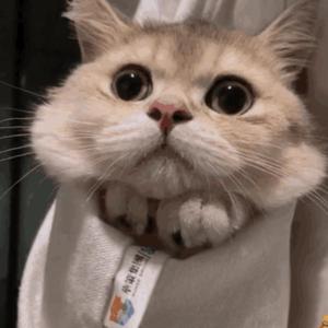 杨幂张开腿让我❌了一天
