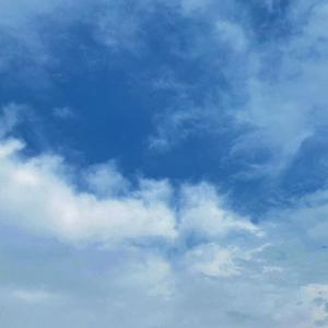 杨幂张开腿让我❌了一天
